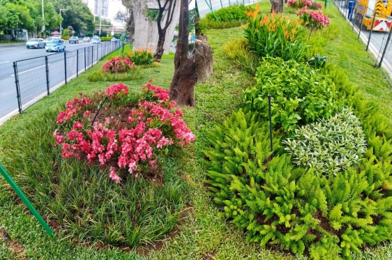 MK(�����Ƽ����޹�˾)�������ٷ���վ